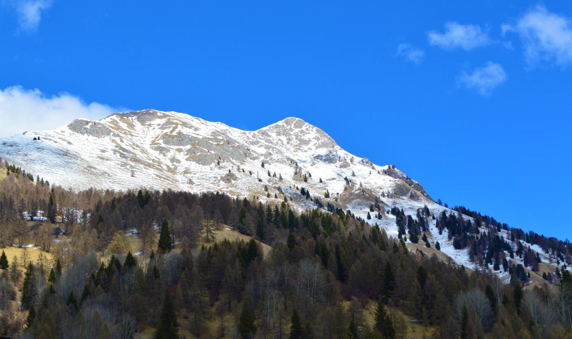 Hotel Stella Alpina Bellamonte Luaran gambar
