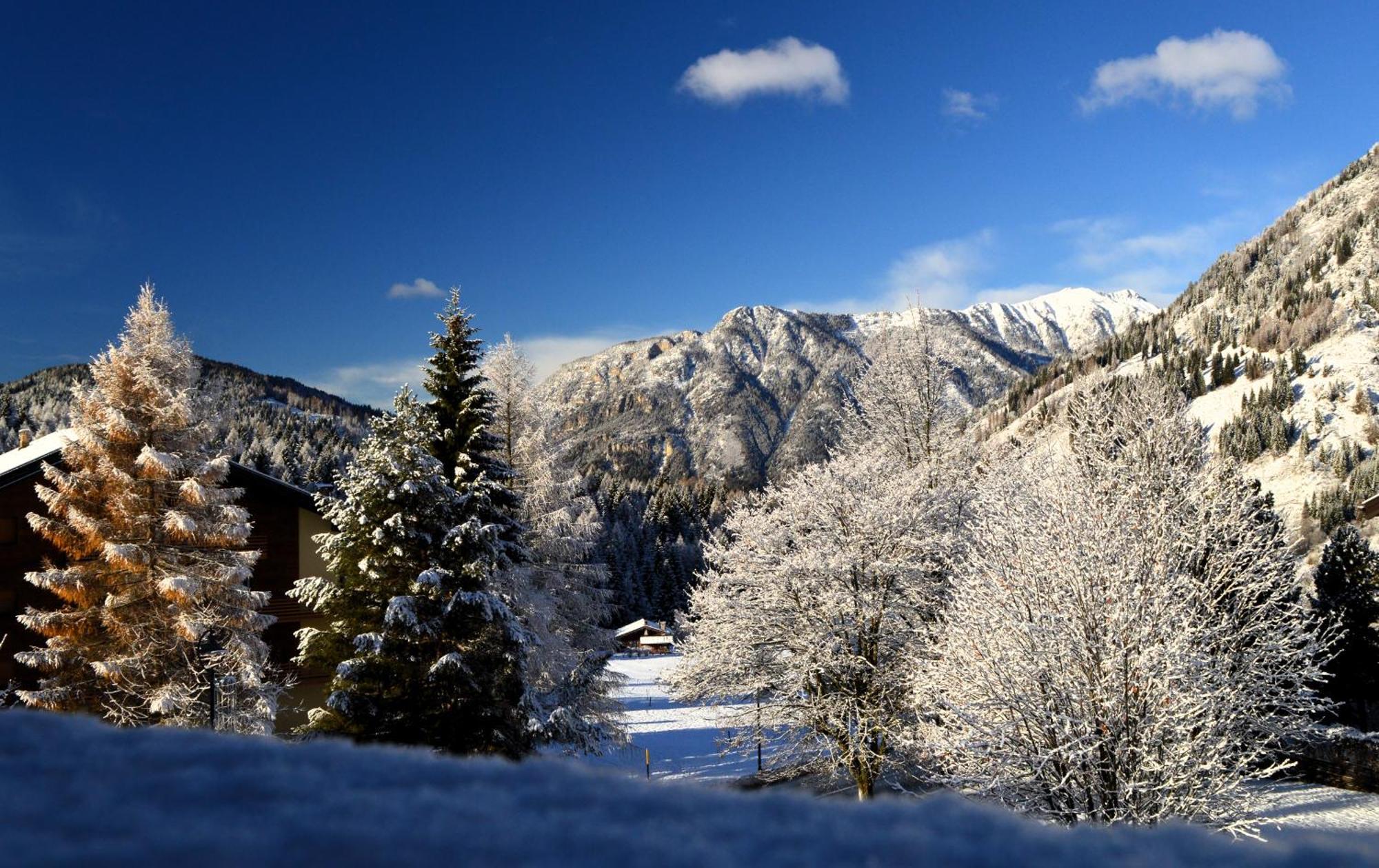 Hotel Stella Alpina Bellamonte Luaran gambar
