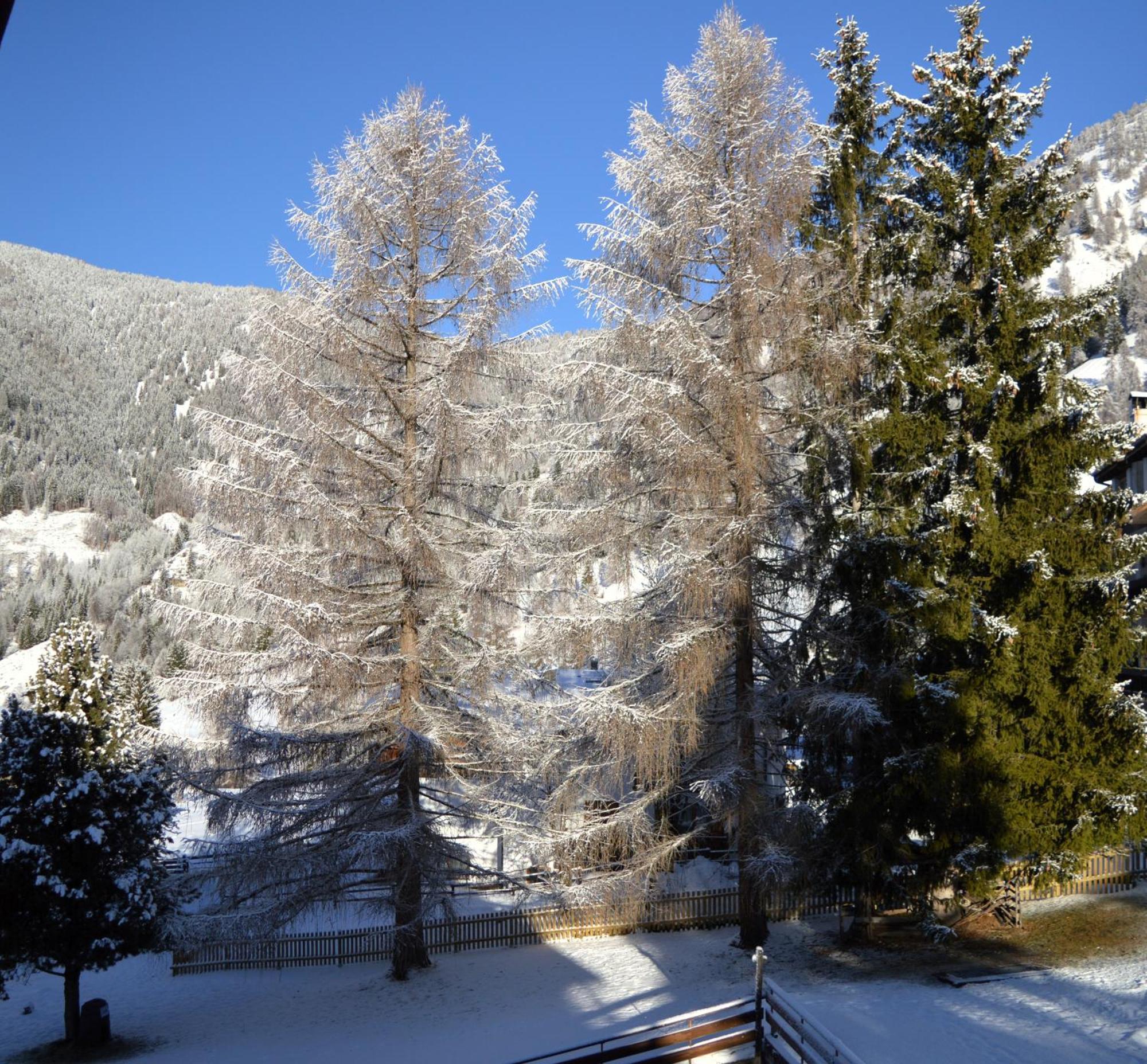 Hotel Stella Alpina Bellamonte Luaran gambar